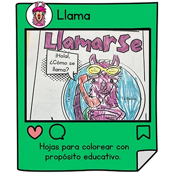 experiencia-4