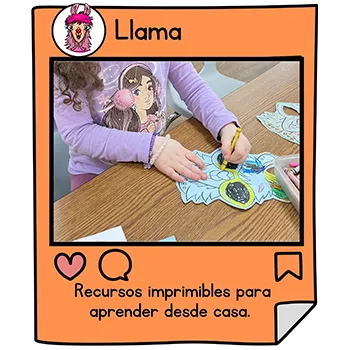 experiencia-5